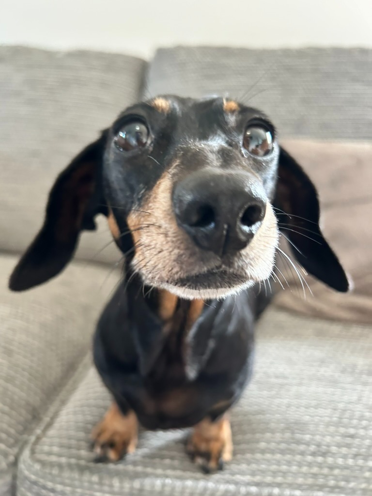 464879 custom site themes id L7PgU3sRpO9BZ4rH9Cad Lillie May a total LEGEND 1