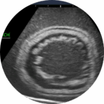 464879 custom site themes id gdTgzdiR6P2IXXBTq4ug Untitled design 2024 10 08T082951.695