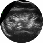 464879 custom site themes id iB8GGGN3TySvBvuXE2st Untitled design 2024 10 08T083130.591 1