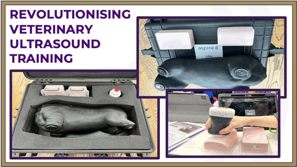 464879 custom site themes id vCjLejnTgGRGyynznszU Screenshot 2025 04 06 at 11.22.31