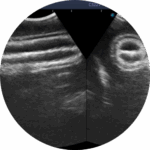 464879 custom site themes id wvGA6JbBSbepJ5TnIh4r Untitled design 2024 10 08T083028.944