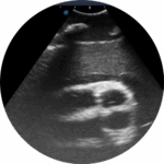 464879 custom site themes id z9Y24ESgipEzcPF3gBKw Untitled design 2024 10 08T082838.968