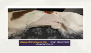 Conventional close clip