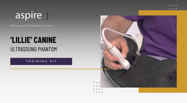 Lillie Canine Ultrasound Phantom Training Kit