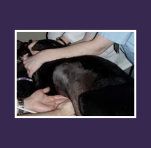 Patient Position 1