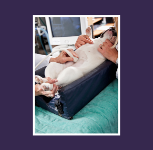 Patient Position 3