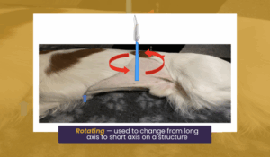 Rotating — used to change from long axis to short axis on a structure 1