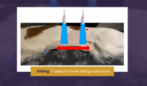 Sliding — Used to move along a structure