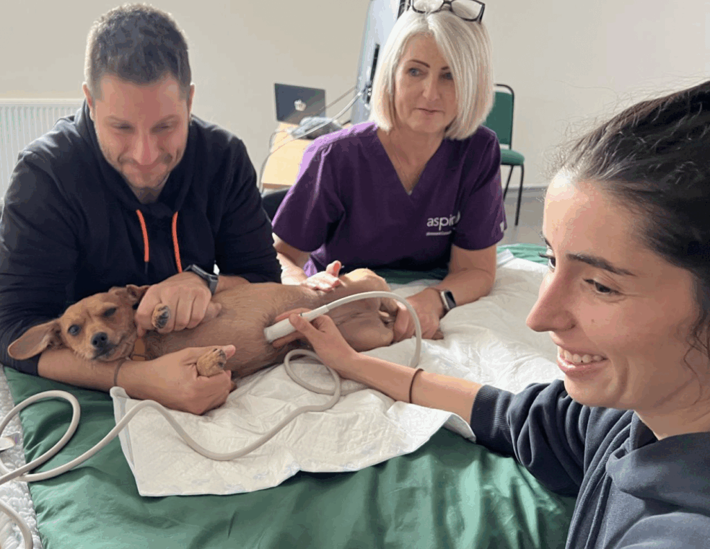 Screenshot 2025 11 13 at 17.58.04