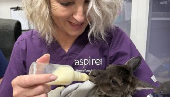 3C5D7B1A-0122-4631-9D9D-35339F1F658E_1_105_c