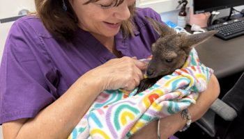 48936E62-E238-4CCB-B99A-1F920436B763_1_105_c-1