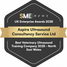 AIS-Mar25137_Aspire Ultrasound Consultancy Service Ltd_UK Enterprise Awards 2025_Winners Badge
