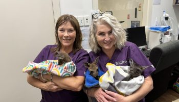 F6DC4DED-4704-41B7-9834-98F730677CE0_1_105_c